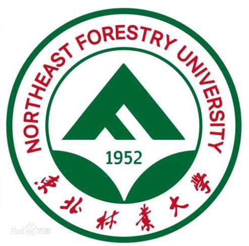 2021年中国传媒大学，网络与新传媒自考招生简章（新）